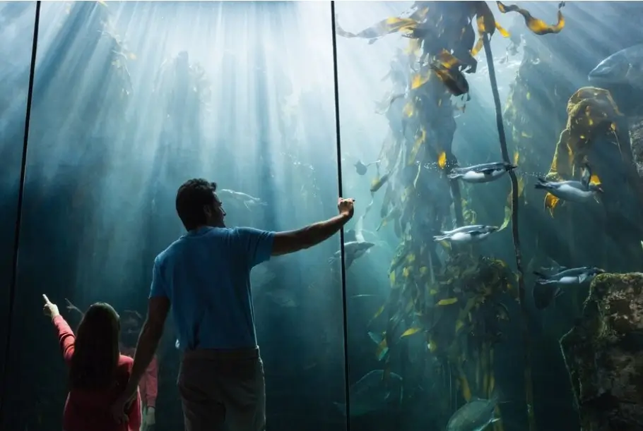 Featured image: Largest Aquariums